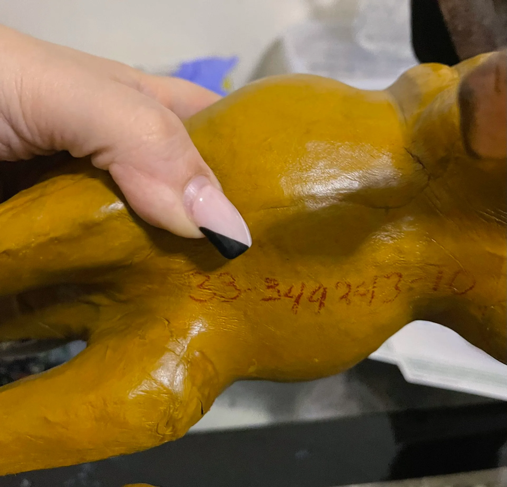 Genuine Leather Camel image indicator(4)