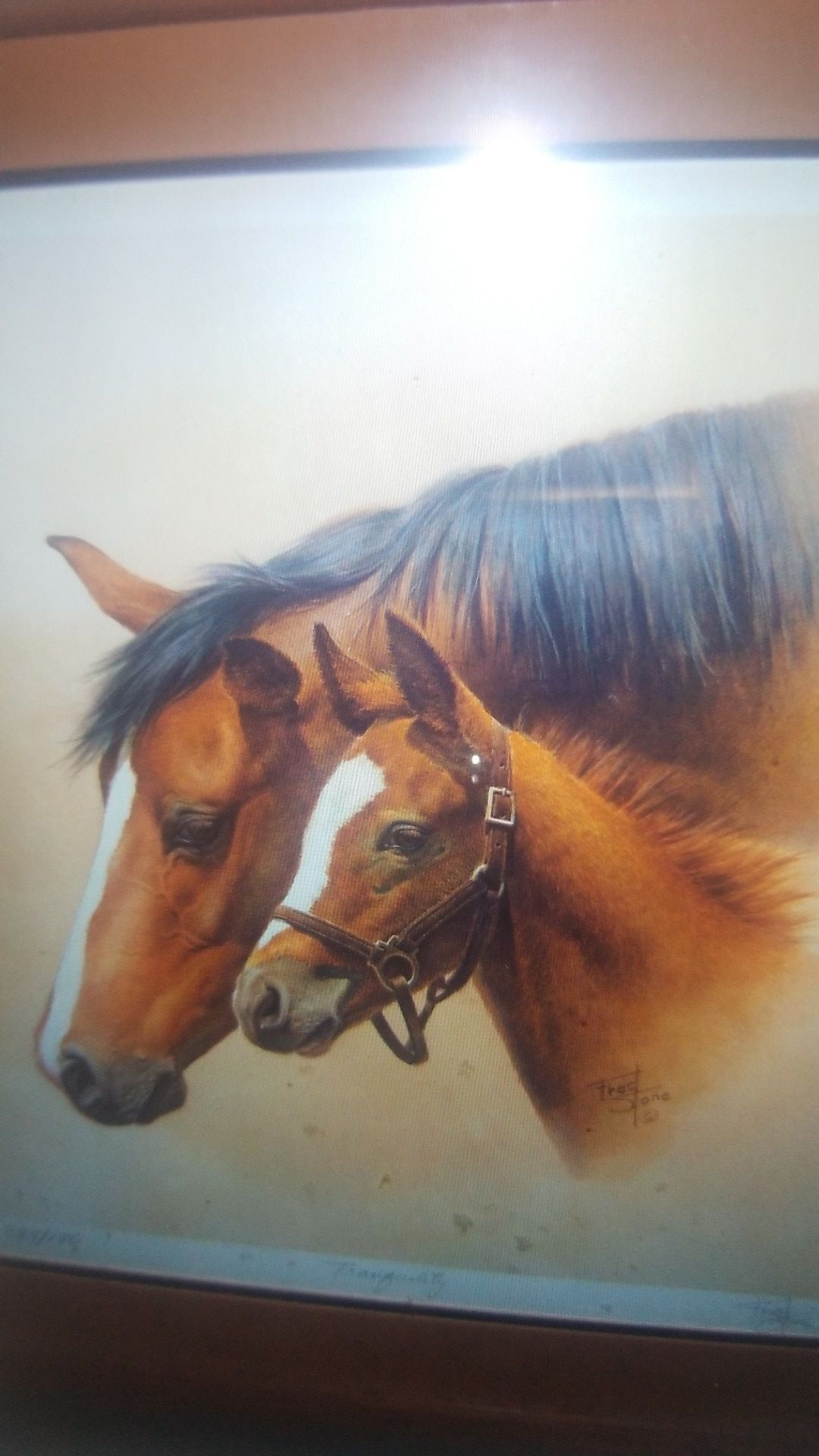 Fred Stones Tranquility Litho