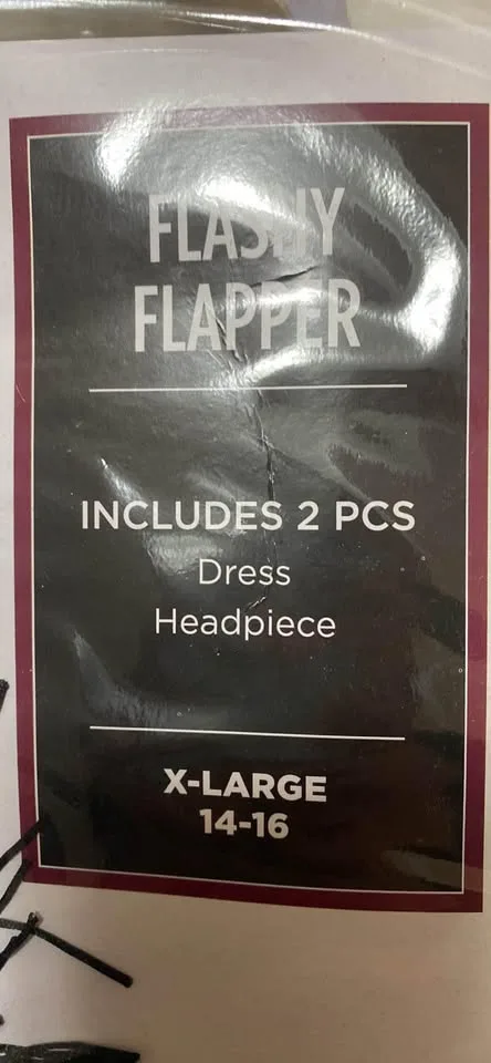 costume flashy flapper image indicator(2)