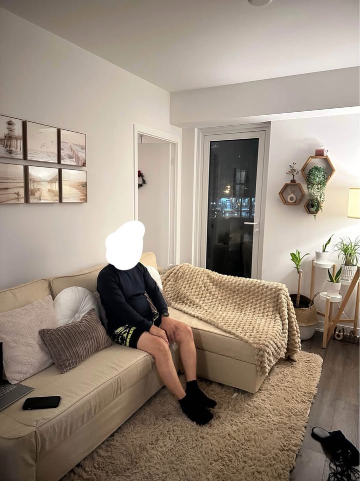 Sectional Sofa with Storage (Ikea Friheten) - photo 3