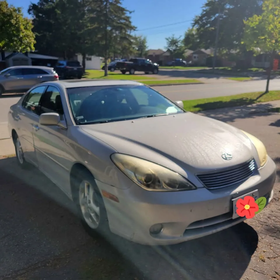 2005 Lexus ES330 image indicator(2)