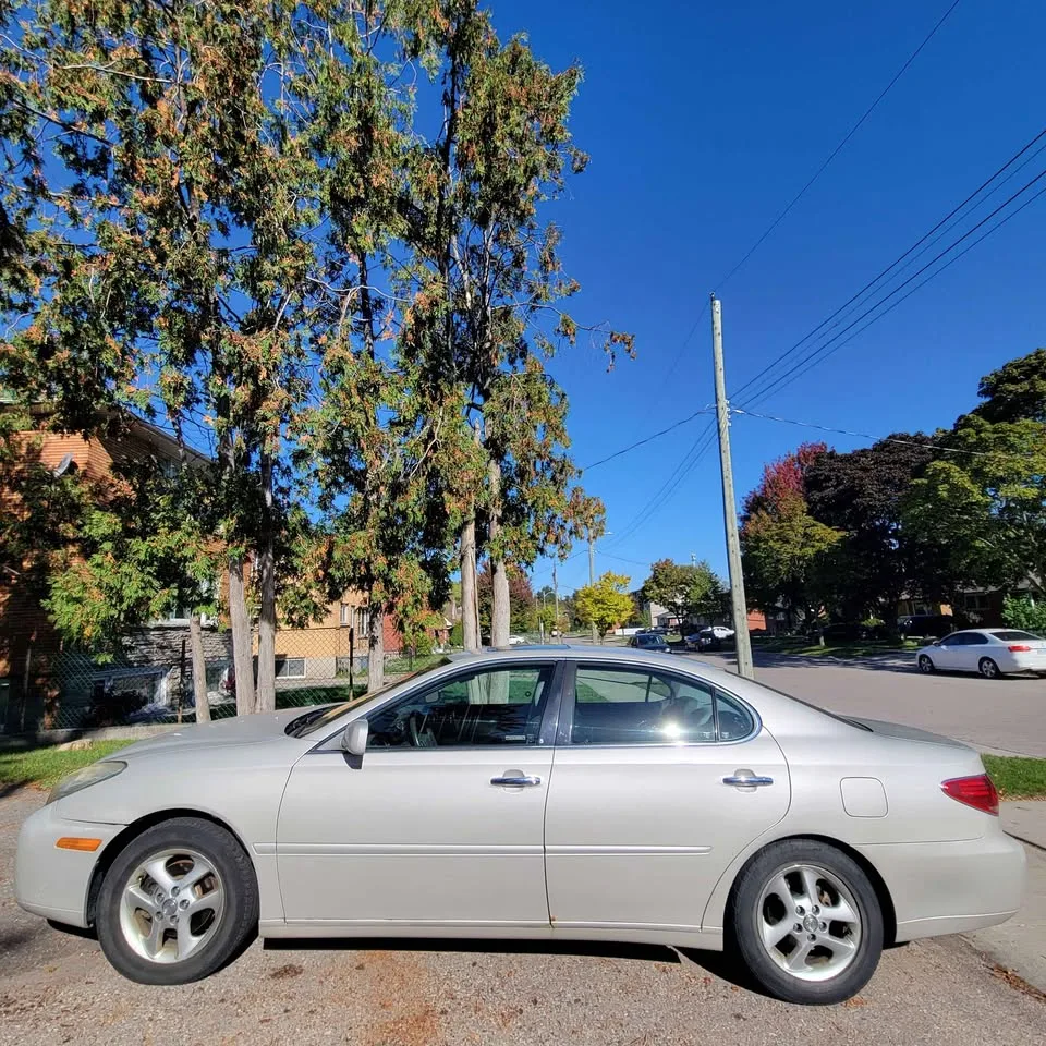 2005 Lexus ES330 image indicator(7)