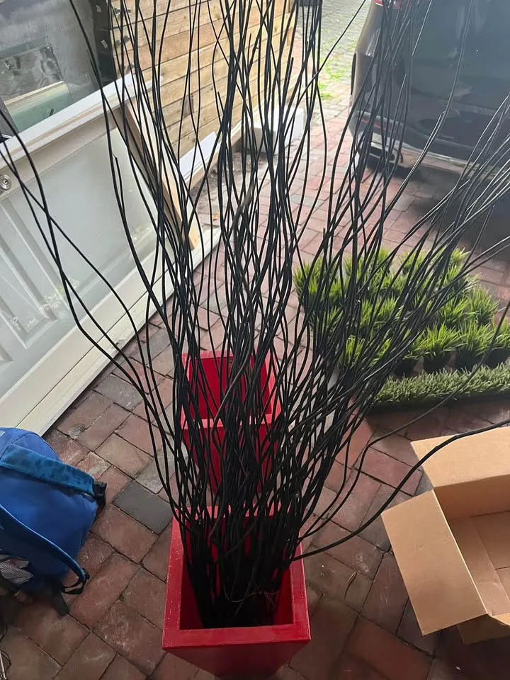 Decoration image indicator(3)