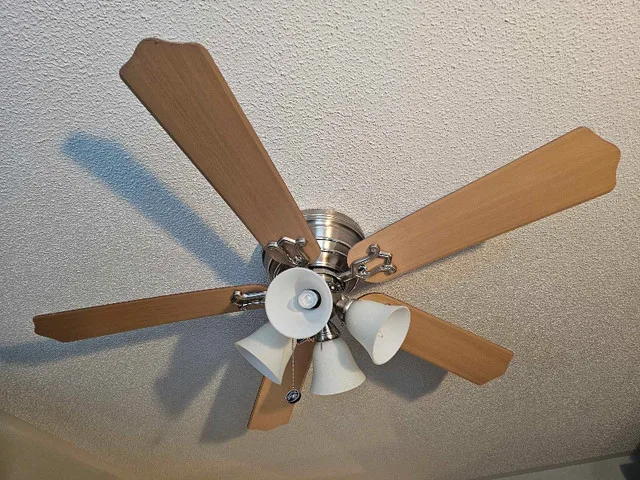 Hampton Bay Ceiling fan with lights, bulbs included, works