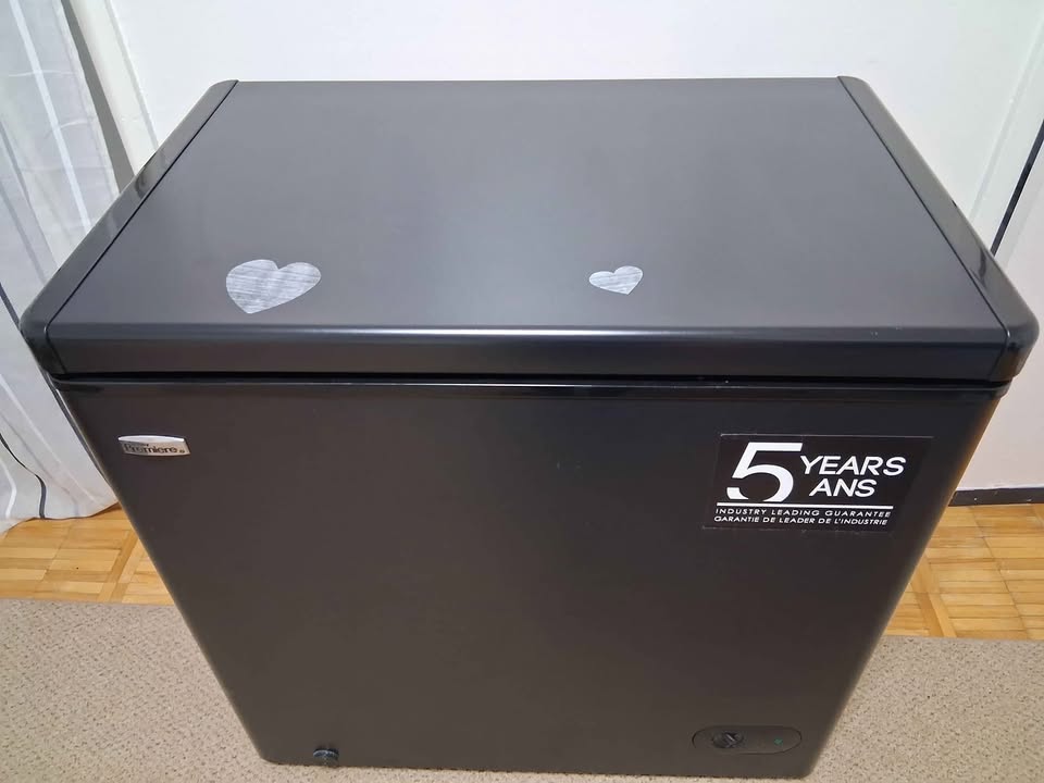 Danby Premiere Freezer - photo 2