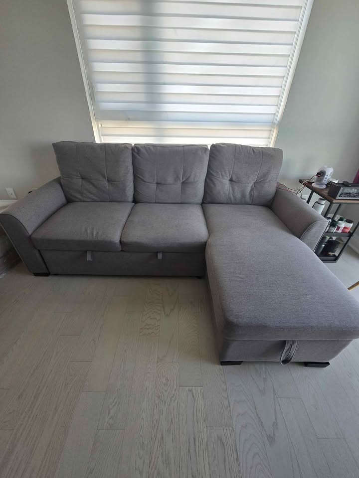 Sectional Sleeper Sofa from The Brick - photo 4