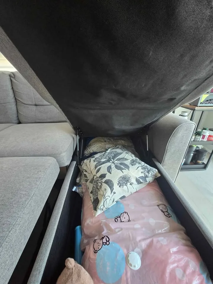 Sectional Sleeper Sofa from The Brick image indicator(7)