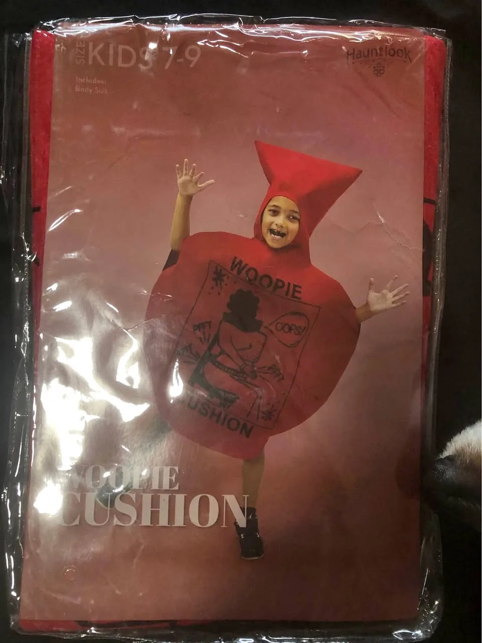 Kids Size 7 - 9 Whoopie Cushion Halloween Costume thumbnail
