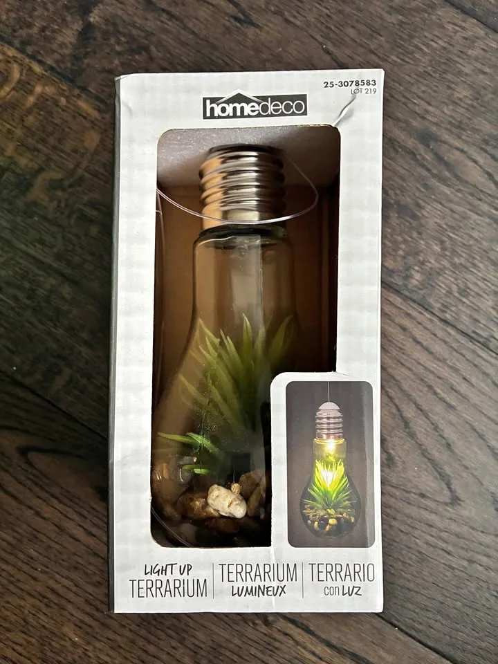 Glass “Light Up” Terrarium thumbnail
