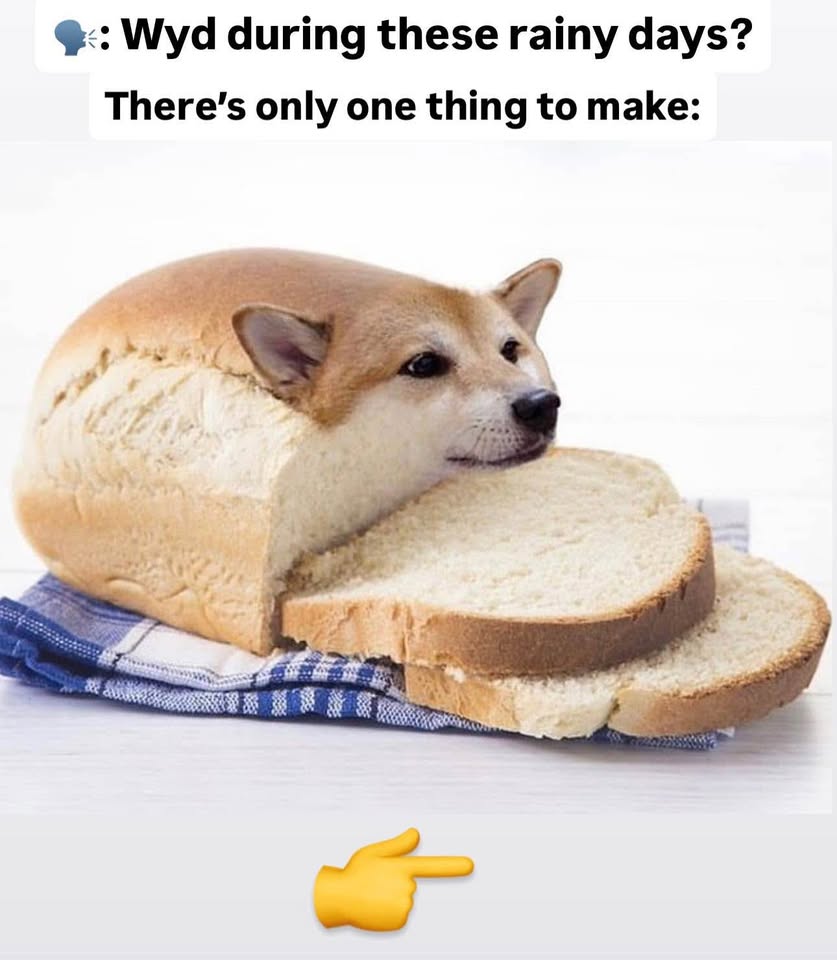 Breadmaker Machine Kitchenarm (Dog Bread not included) - photo 5
