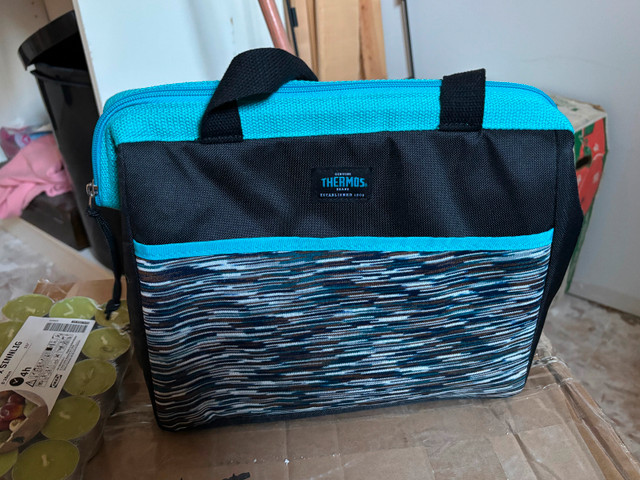 Cooler bag with ice packs
