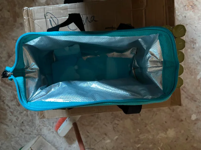 Cooler bag with ice packs image indicator(2)