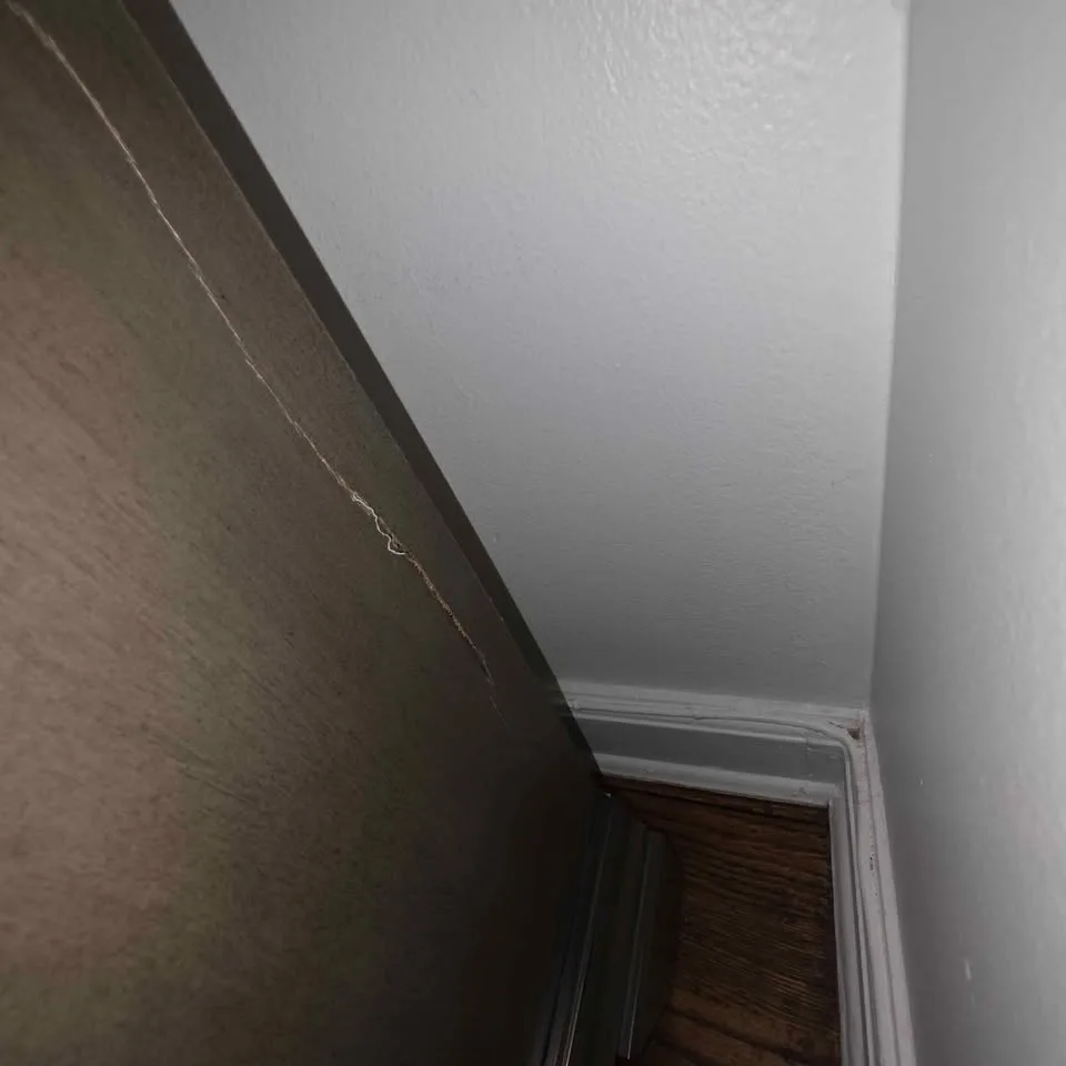 TV STAND image indicator(3)