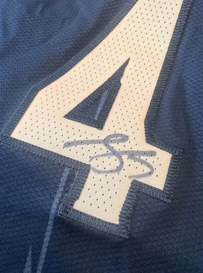 RARE Scottie Barnes Signed Raptors City Dino Jersey 48 Large image indicator(3)