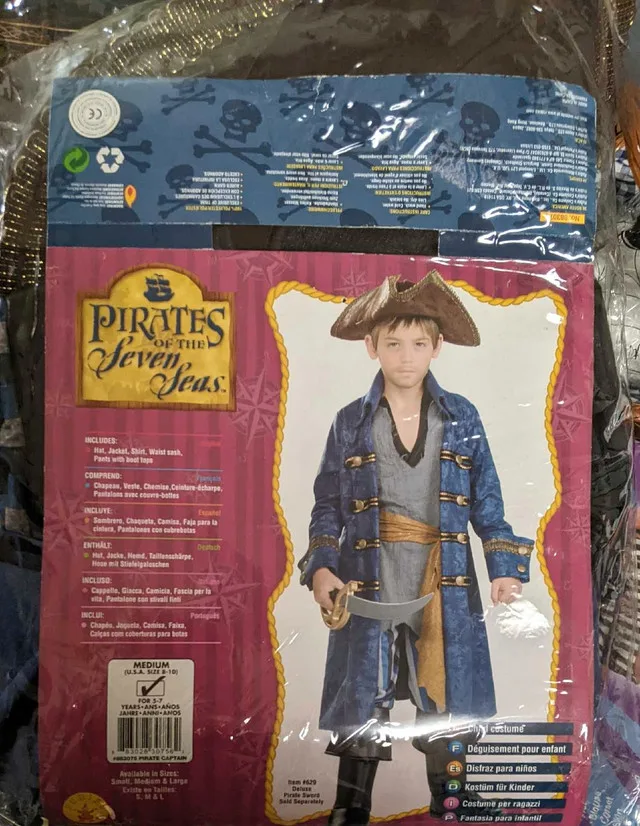 Pirates of the Seven Seas Costume thumbnail
