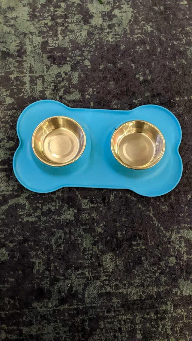 Dog Bowls and Brush thumbnail