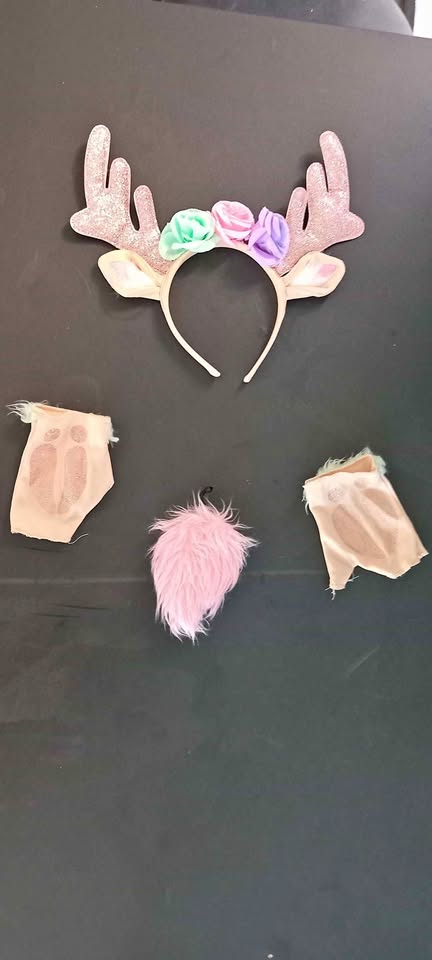 Halloween Accessories for Girls age 3-10