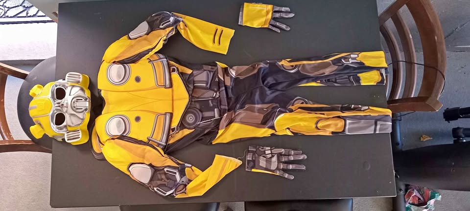 Halloween Bumblebee dress for boys age 7-10