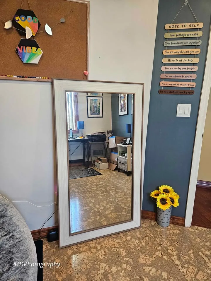 **MOVING Sale** 24x48 Pirtrait Mirror image indicator(2)