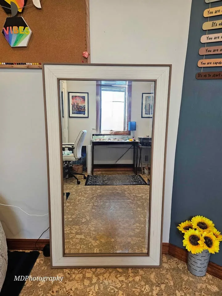 **MOVING Sale** 24x48 Pirtrait Mirror image indicator(3)