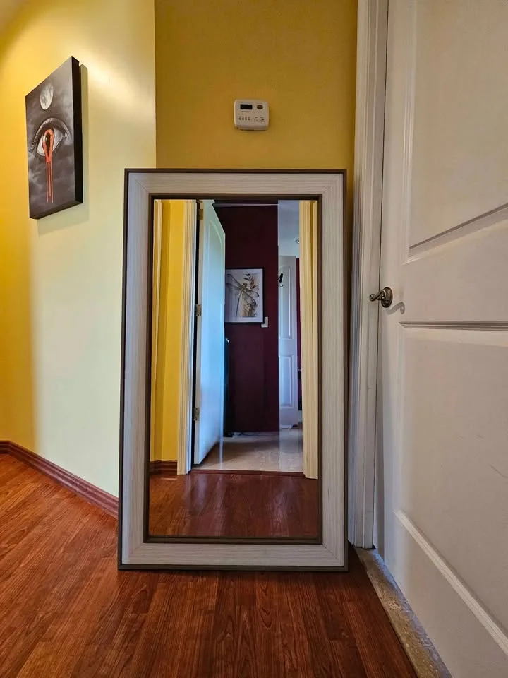 **MOVING Sale** 24x48 Pirtrait Mirror image indicator(4)