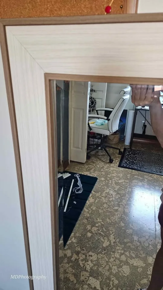 **MOVING Sale** 24x48 Pirtrait Mirror image indicator(6)