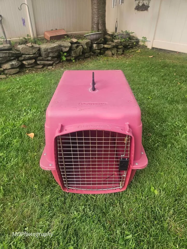 Petmate Pet Porter - Burgundy image indicator(2)