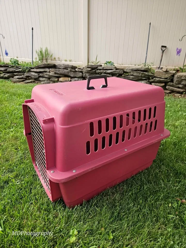 Petmate Pet Porter - Burgundy image indicator(3)