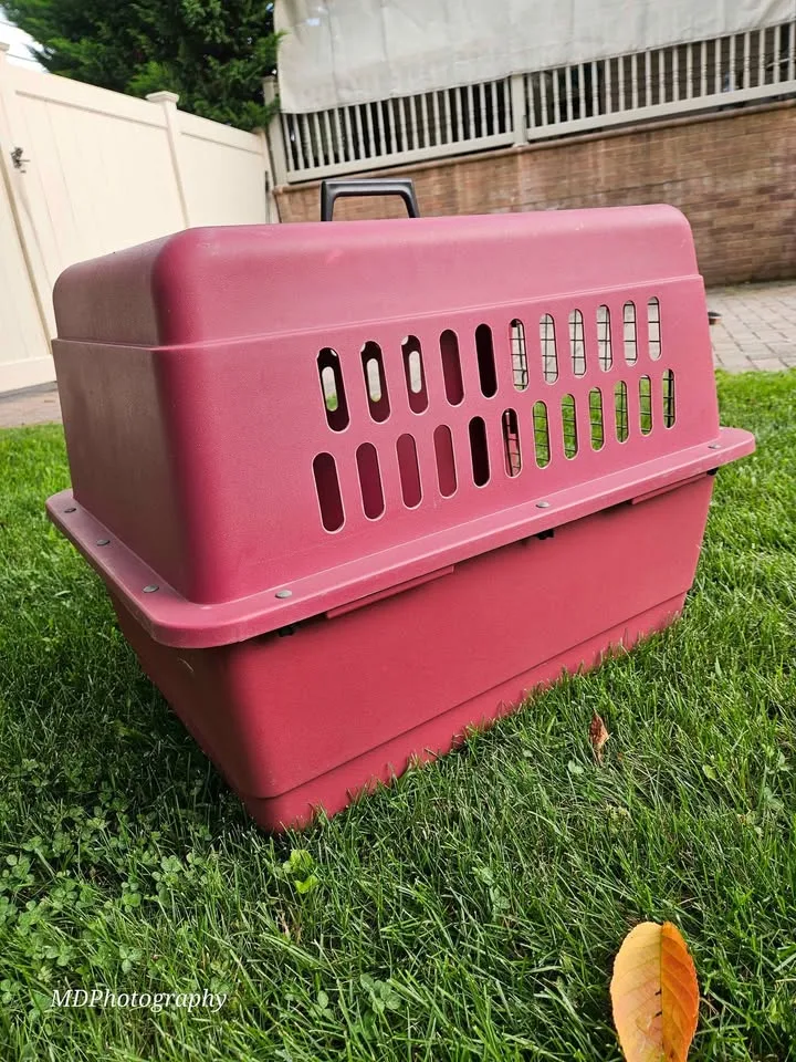 Petmate Pet Porter - Burgundy image indicator(4)