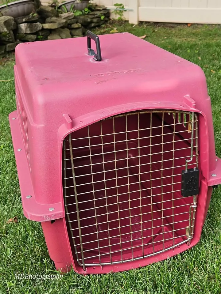 Petmate Pet Porter - Burgundy image indicator(5)