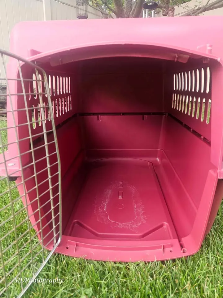 Petmate Pet Porter - Burgundy image indicator(6)