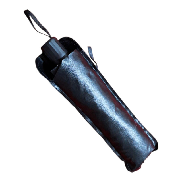 Car Windshield Umbrella - photo 3
