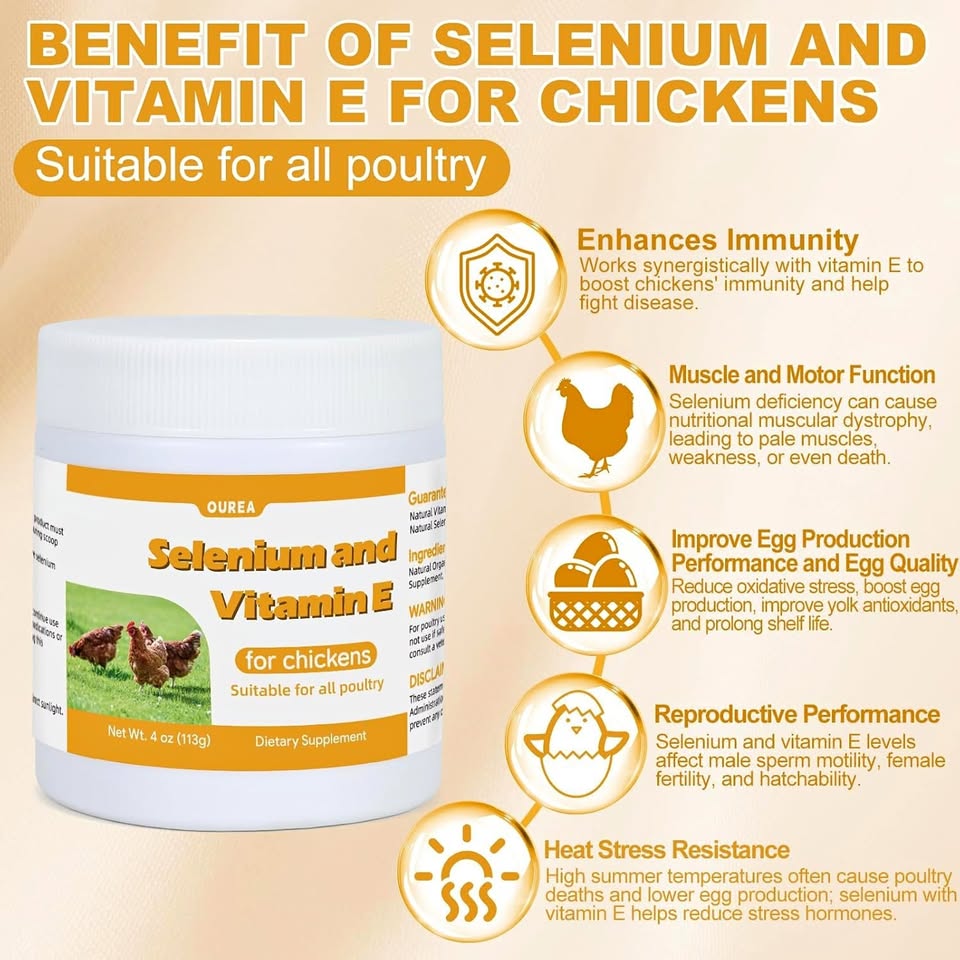 New~Selenium & Vitamin E Powder For Chickens, Supplement