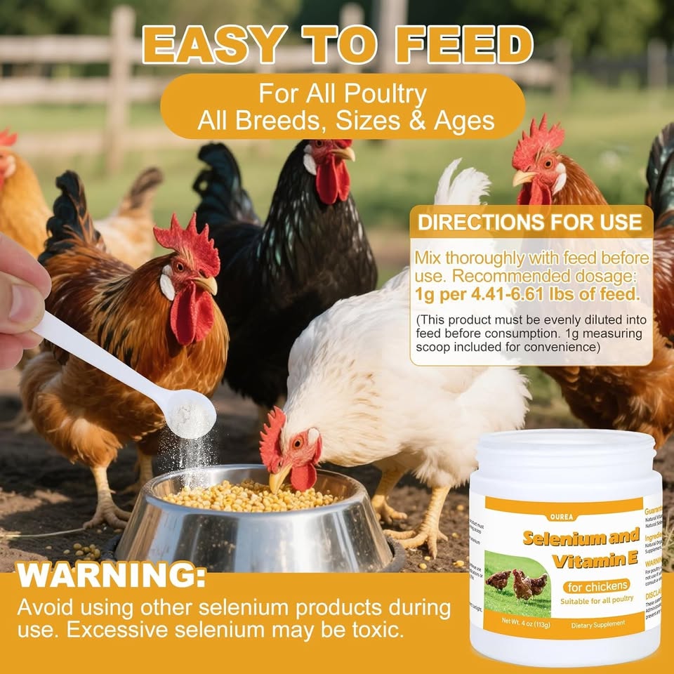 New~Selenium & Vitamin E Powder For Chickens, Supplement - photo 4