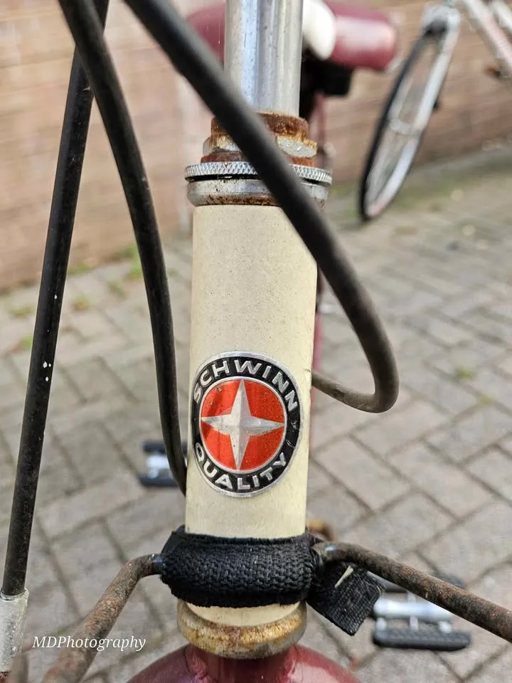 MOVING SALE Schwinn Ladies Cruiser Bicycle image indicator(2)