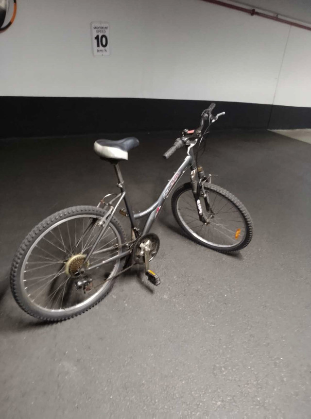 Used Raleigh city hybrid bike