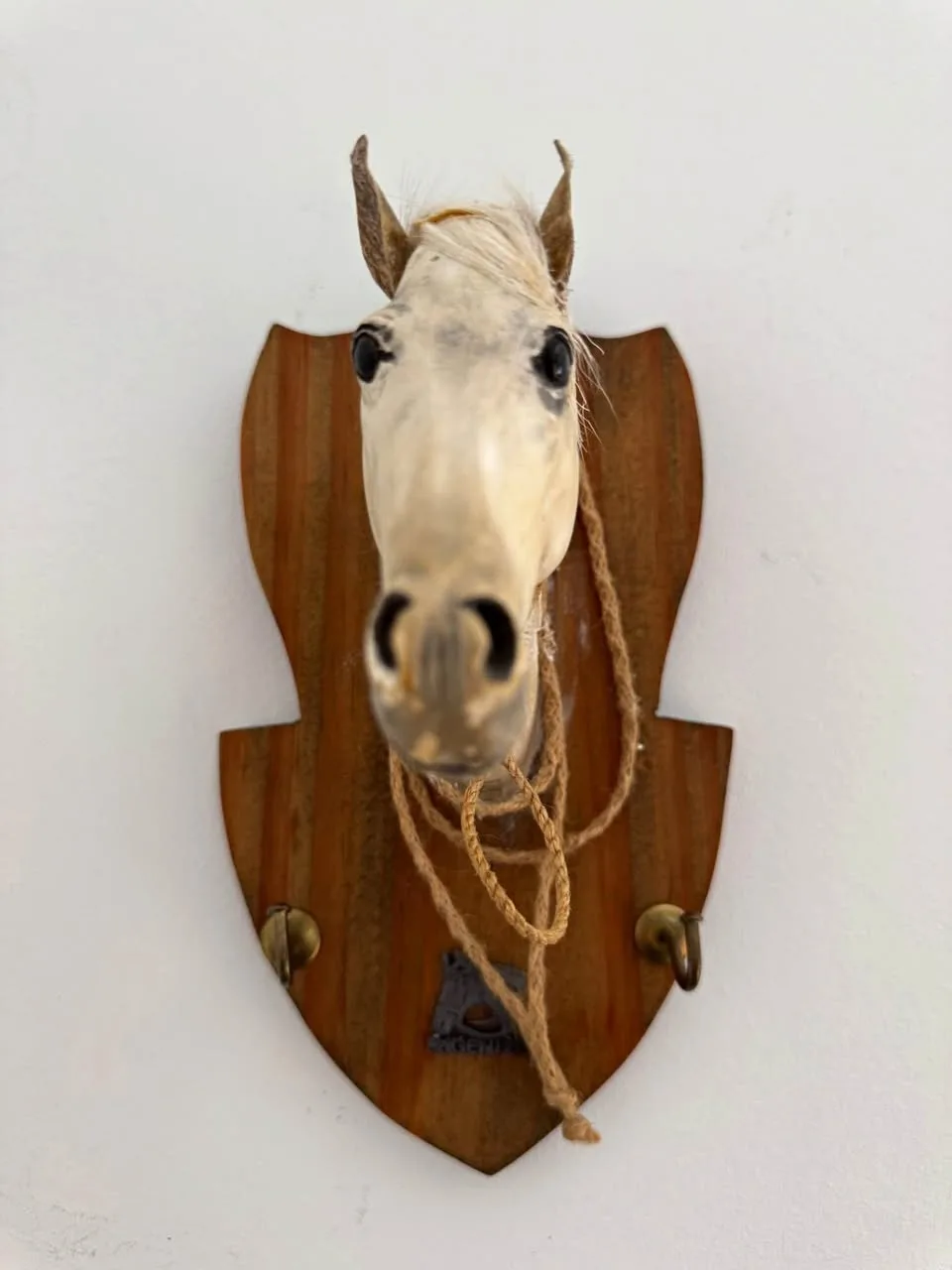 Vintage Horse Head Wall Hanger / Key Holder | Equestrian Decor