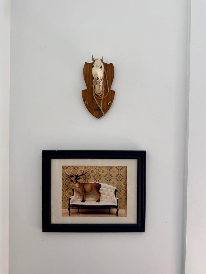 Vintage Horse Head Wall Hanger / Key Holder | Equestrian Decor - photo 5