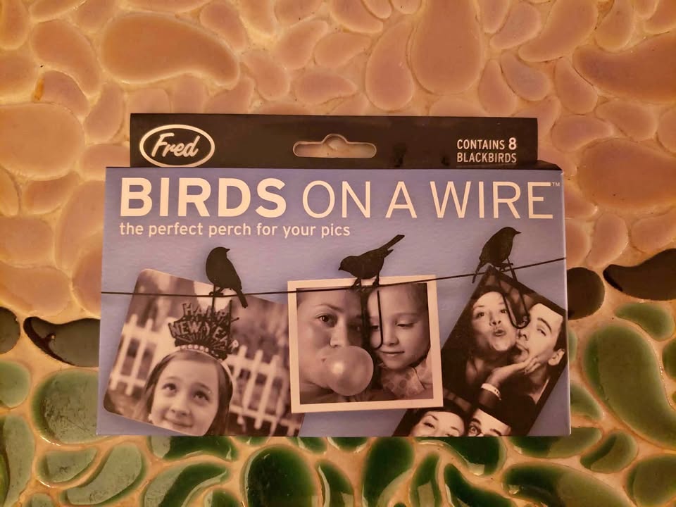 Birds on a Wire Photo Hanger