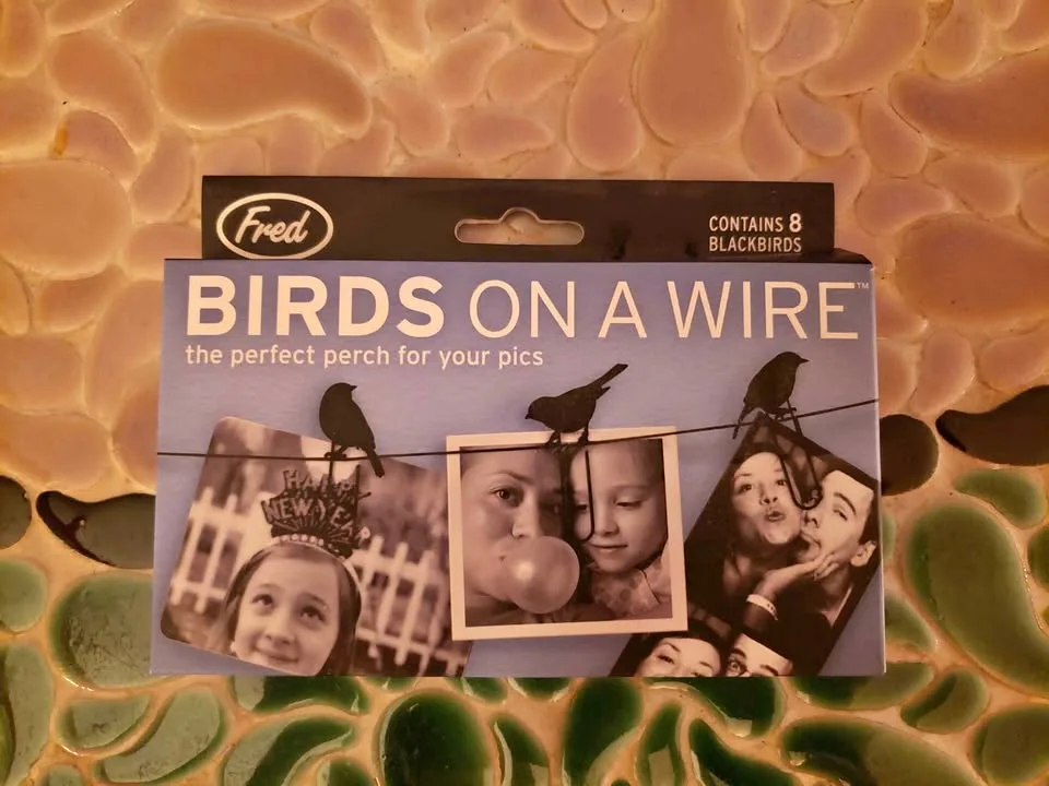 Birds on a Wire Photo Hanger thumbnail
