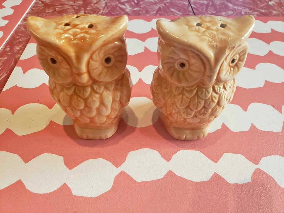 Owl Salt & Pepper Shakers