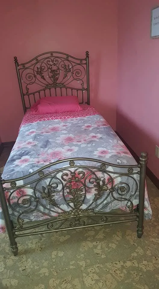 Girls Metal and Wood Twin Size Bedroom Set image indicator(3)