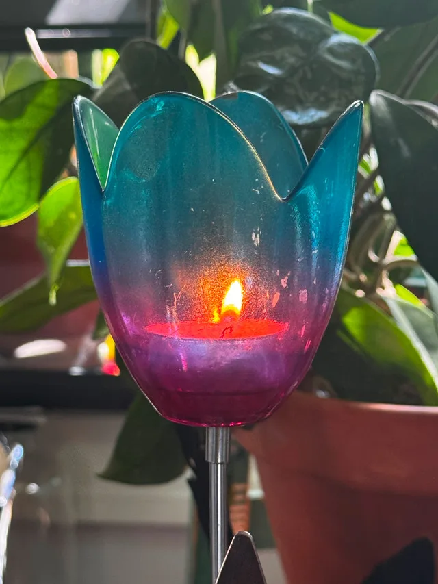 Tulip Candelabra/Candle Holder