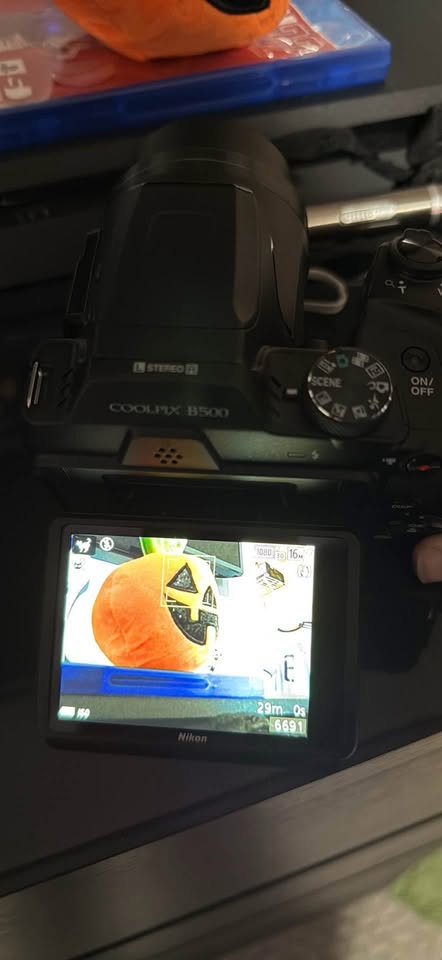 Nikon Coolpix b500 - photo 5