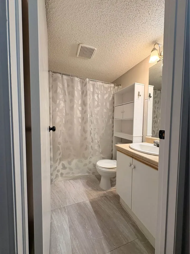 2 Beds 1 Bath - Apartment image indicator(3)