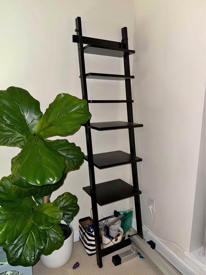 Ladder shelving unit, dark brown