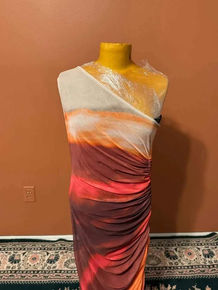 Brand New Size M One Shoulder Mesh Maxi Dress (Size M) image indicator(2)