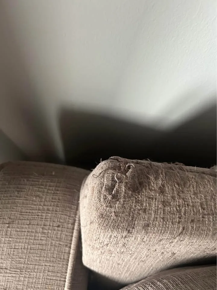 3 seat couch image indicator(4)