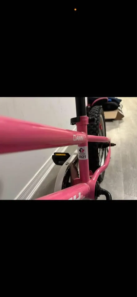 Hutch girl bike image indicator(2)