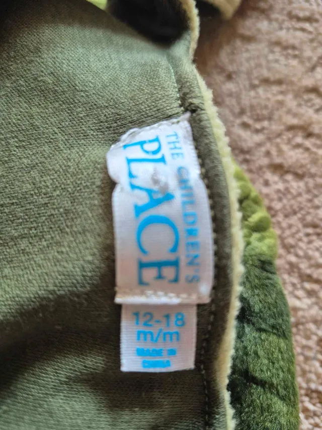 Turtle Halloween costume image indicator(3)